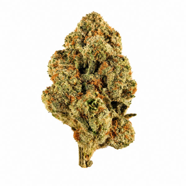 JUICY J