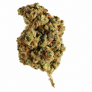 WEST COAST PLATINUM SOUR DIESEL