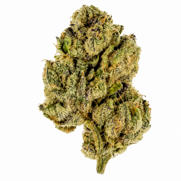XJ-13