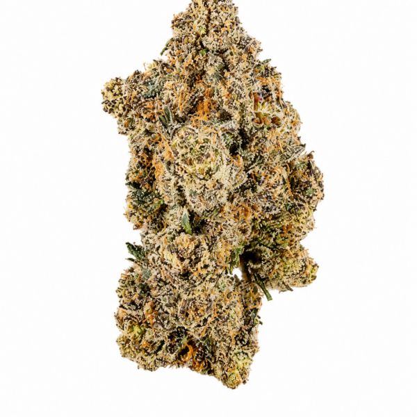 PURPLE DINOSAUR