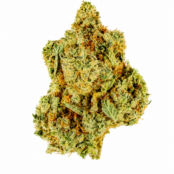 DURBAN FORUM COOKIES