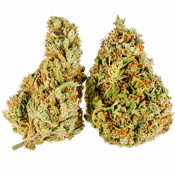 SUPER MIAMI HAZE