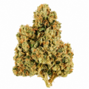SOUR DIESEL ANIMAL FACE