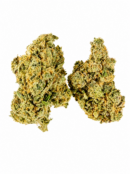 TRIPLE LINDY BLUEPRINT GENETICS