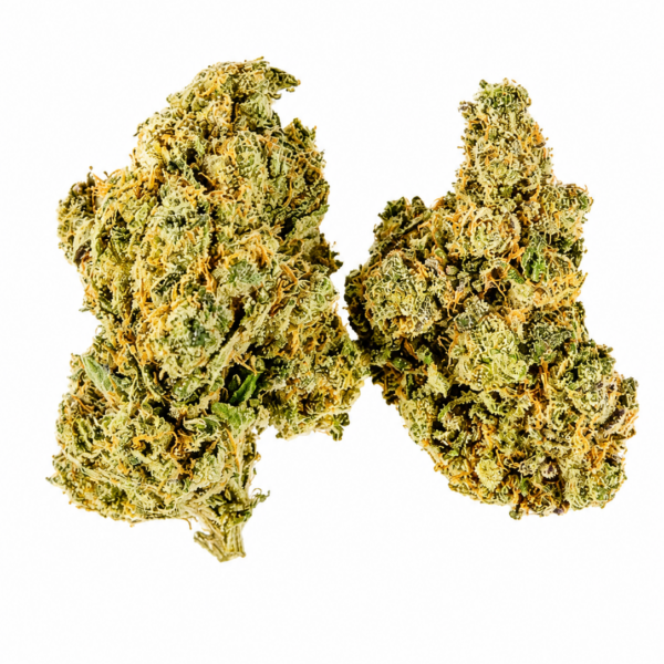 TRIPLE LINDY BLUEPRINT GENETICS