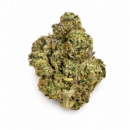 CBX Casino Kush