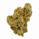 GAS DREAMS