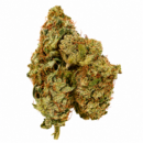TOP DOG BLACK PIFF