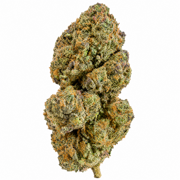 RAINBOW GLUE