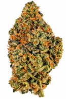 PLATINUM JACK HERRER