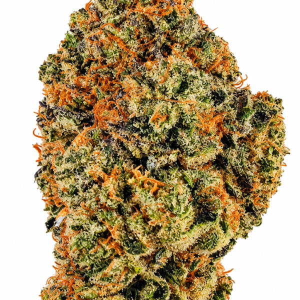 PLATINUM JACK HERRER