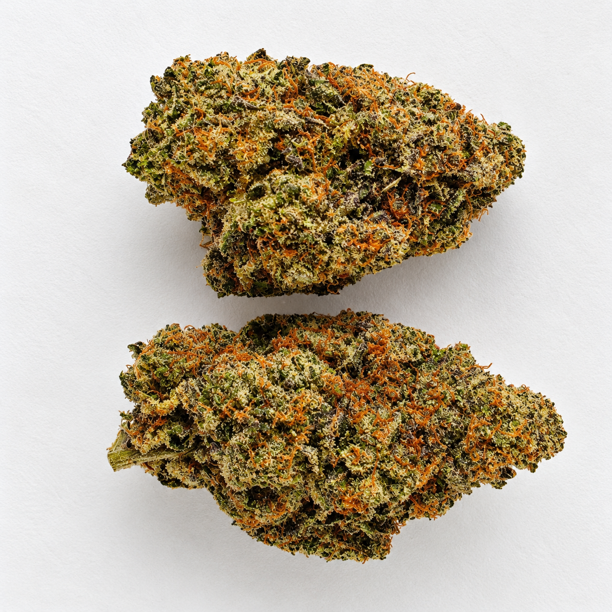 PLATINUM JACK HERRER - Image 2