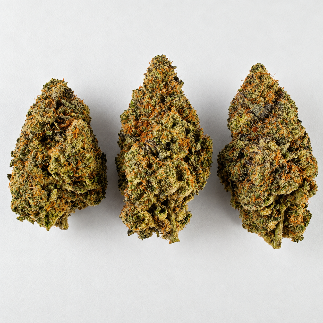 PLATINUM JACK HERRER - Image 3