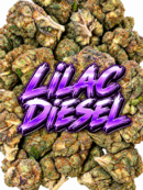 LILAC DIESEL