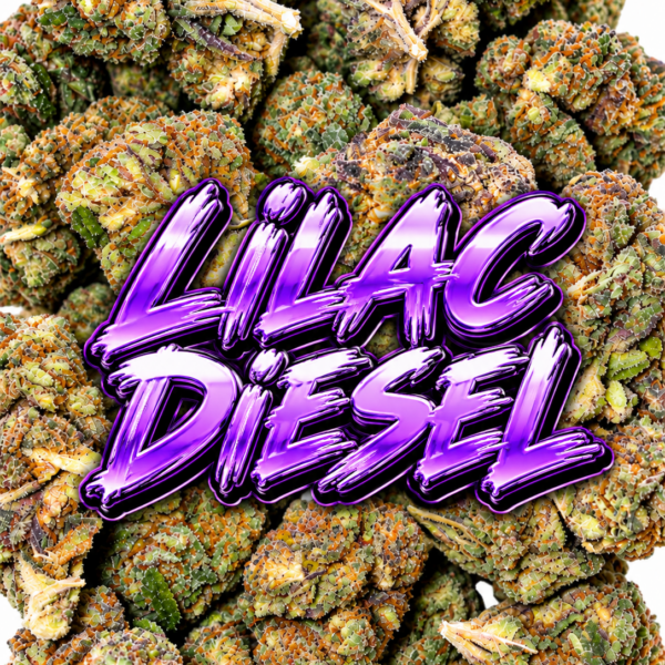 LILAC DIESEL