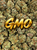 GMO