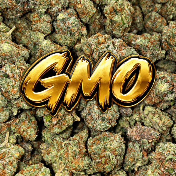 GMO