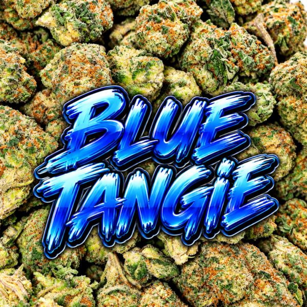 BLUE TANGIE