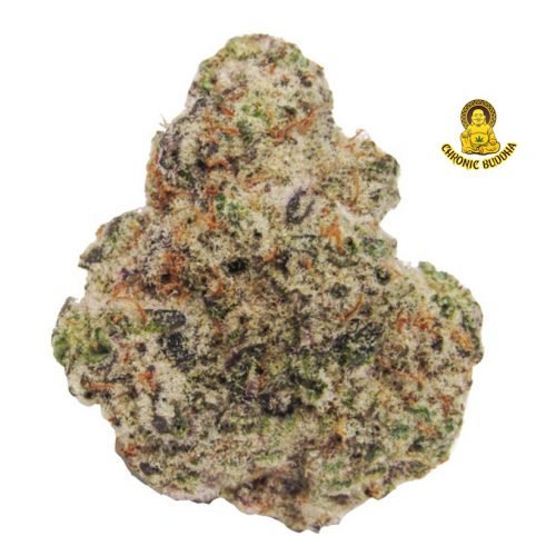 ELEPHANT EARS