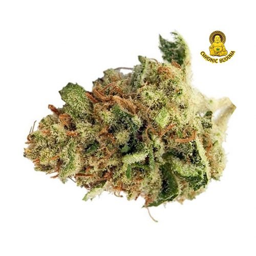 SUPER LEMON HAZE