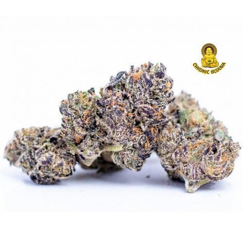 Sherbinski Pink Cherry Gelato