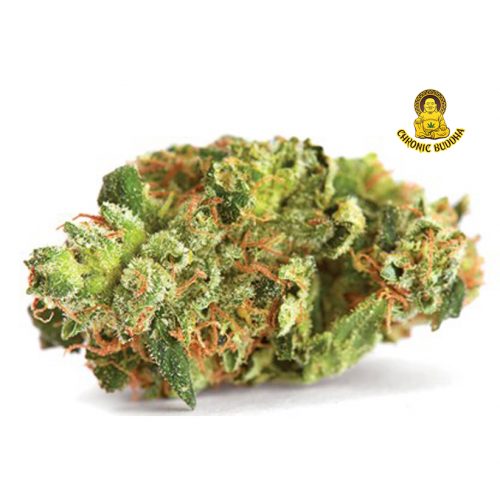 SOUR HEADBAND