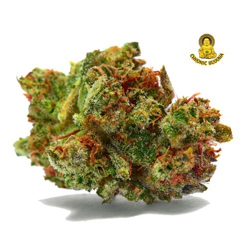 SOUR TRAIN WRECK