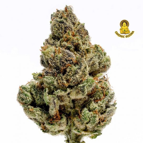 SNOOP DOGG OG CAKE