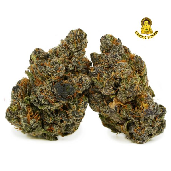 BLACK CUBAN JACK