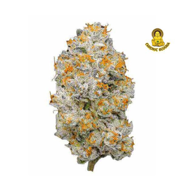 Pineapple Xpress Runts