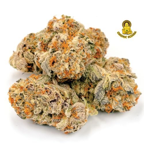 LAMBS BREAD X JAMAICAN JAM