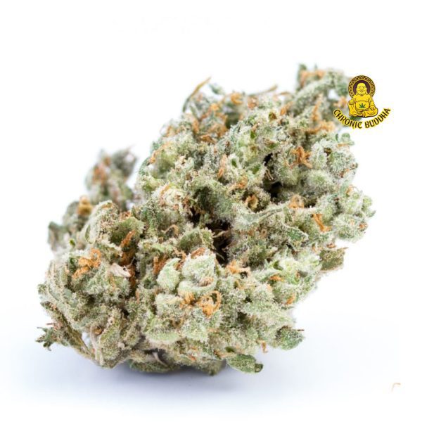 platinumjack