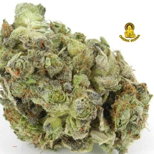 BLUEBERRY CAVIAR CCW 4G