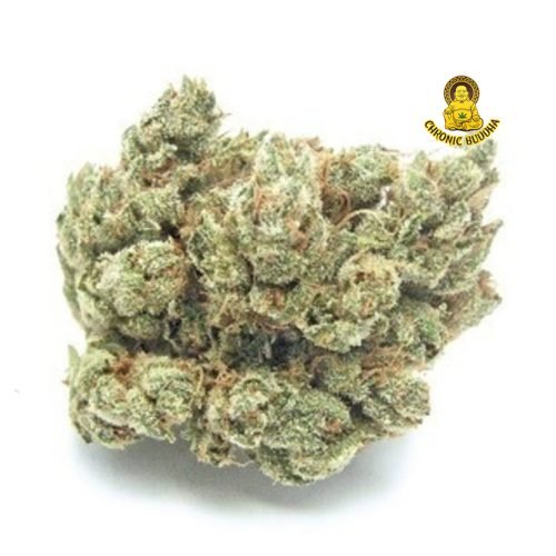 LEMON CHEM 99