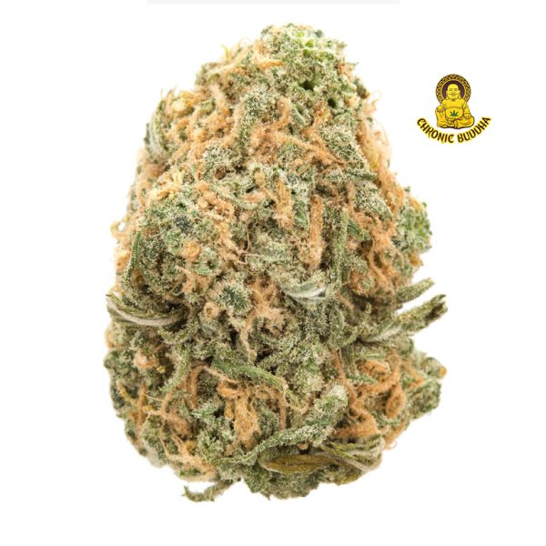 Durban Poison X American Haze 4G