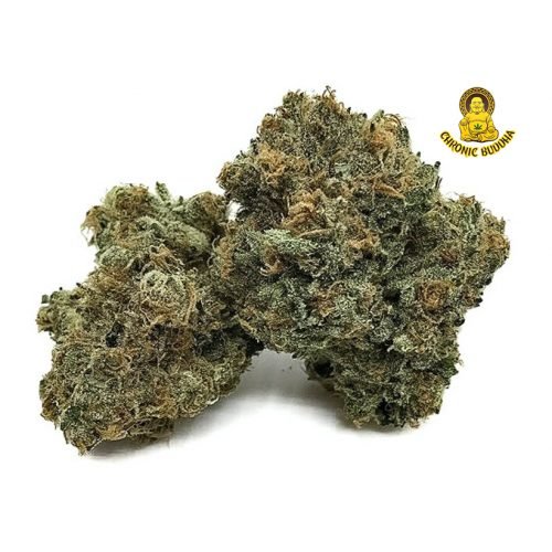 SOUR JOKER