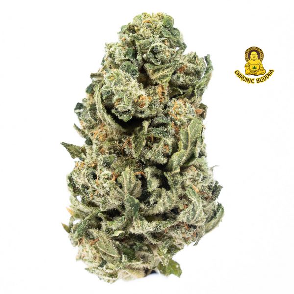 JAMAICAN LAMB BREAD KUSH