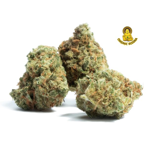 XJ 13 SOUR DIESEL