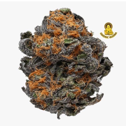 LS ORANGE BELLINI MG