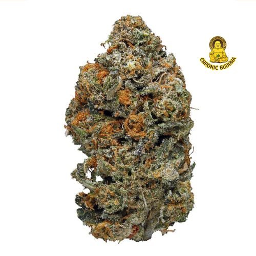 LS TEAM BURNER PLATINUM COOKIES