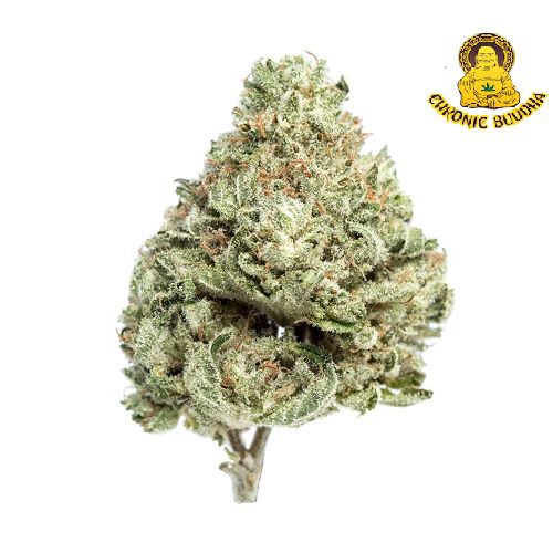 SUPER SOUR DIESEL