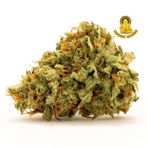 MR. CUBANS UPTOWN PIFF 4G