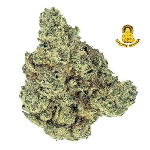 SUPERGLUE