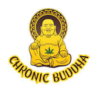 chronic buddha