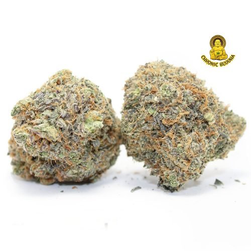 TIGERS MILK 4G