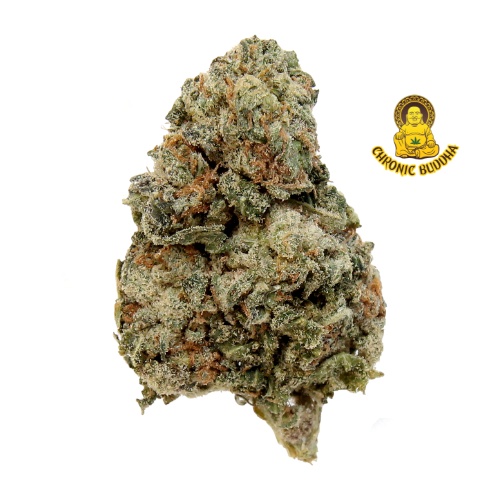 JOE MURRAY SOUR DIESEL