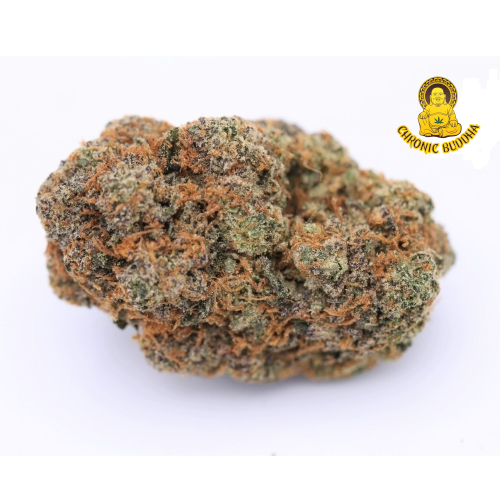 SNOOP DOG'S NORTHERN LIGHTS