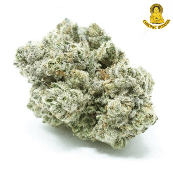 Monster Glue