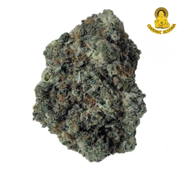 GORILLA CANDY JACK