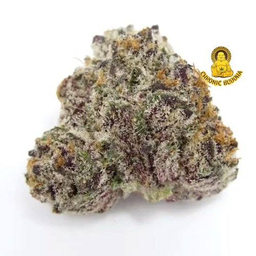 MAVEN GENETICS OPAL 4G